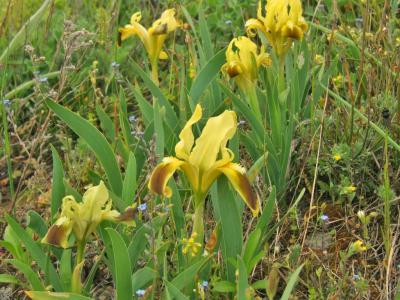 Прикрепленное изображение: 302.jpg